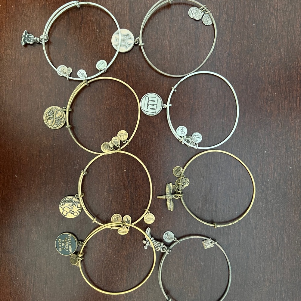 Set of Alex and ani brackets